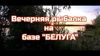 Вечерняя рыбалка на Днестре ,в старом порту, на базе "Белуга" 25 июля 2022 г