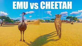 Cheetah vs Emu Head to Head Speed Race in Planet Zoo