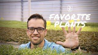 George Farmer TOP 5 - Favorite and beginner friendly Tropica Aquarium Plants