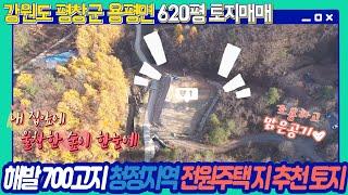 해발 700고지 청정지역 전원주택 추천 토지매매, 토목공사 완료되어 바로 건축가능, 강원도 평창군 용평면에 위치 : 스타부동산 TV