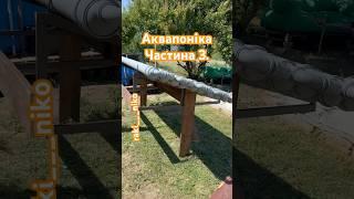 #аккр #осётр #дача