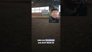 Aufwärmen für Reiter #equestrian #pferde #reitsport #reiten #winter  #pony #eventer #reitersitz