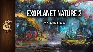 Exoplanet Nature II | Alien ASMR Sci-fi Ambience | 1 Hour