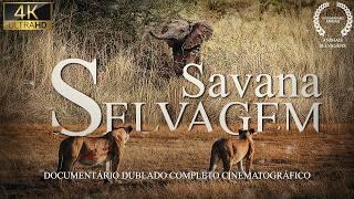 SAVANA AFRICANA | A Batalha Épica dos Predadores Supremos | Documentário Animais Completo INÉDITO