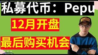 私募代币pepu，最后一周购买时间，12月13号前开盘，抓紧时间