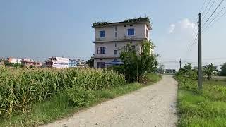 8 5 Dhur | Morang | Gachaiya | Land for sale | owner 9765588879 : 9813267929 #morang