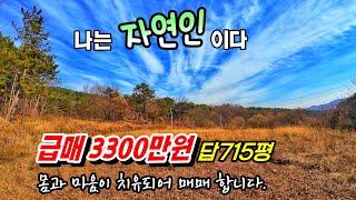 급매물 3300만원 715평(2,364㎡) 나는 자연인이다.숲과 산 속의 조용한 휴양처 찾는 분 몸이 치유되어 매매합니다. 부여부동산 토지매매~행운집 행운땅부동산 전원주택 주말농장