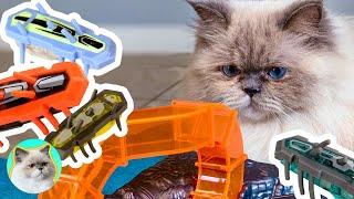 ARE HEXBUG GAMES FOR CATS?!?