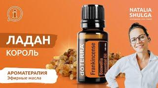 FRANKINCENSE No. 1 essential oil | Eng Subs