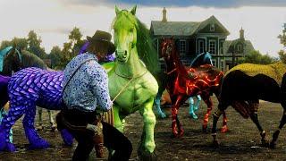 The Best Horse Tamer | Taming unique and Mysterious Horses you will ever see