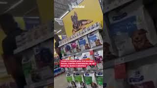 CLIENTE DENUNCIADA POR INJÚRIA RACIAL CONTRA FUNCIONÁRIA DE PET SHOP NA BAHIA É DEMITIDA