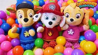 Paw Patrol Baby Pups Home Alone and get a New House Learning Videos for Kids!