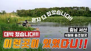 긴급!! 충남 서산 접수!! 예산부터 서산까지 산만 들어가면 대박!! 서산에 이런곳이 있었다니!! 붕어 혼자만 다 잡았다!!