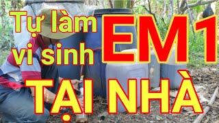 Tự làm men vi sinh EM1 tại nhà | #menvisinh #chephamsinhhoc #chephamvisinh #EM1 #IMO #visinhbandia