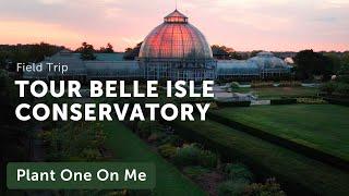 BELLE ISLE CONSERVATORY (Anna Scripps) Tour — Ep. 252