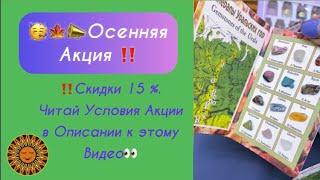 ️Осенняя Акция! С 13.11. по 30.11 Включительно!