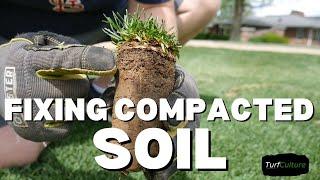 Fixing Compacted Soil // Core Aeration & Sand Topdressing