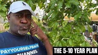 MY 5-10 YEAR PLAN FOR LIVING IN PORT SAINT LUCIE  FLORIDA?