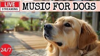 [LIVE] Dog MusicDog Calming MusicSeparation Anxiety ReliefRelaxing Music for Dog Deep Sleep5