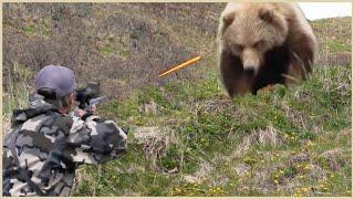 Full Video: How Do American Hunters And Farmers Deal With Million Of Wild Boar And Bear By Guns