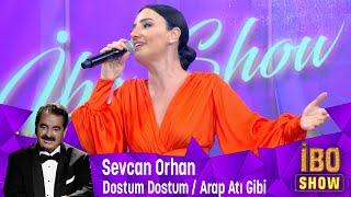Sevcan Orhan - Dostum Dostum / Arap Atı Gibi