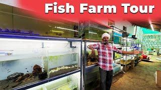 Fish Farm Tour | Aquarium Tour | Vedha Fish Farm Tour