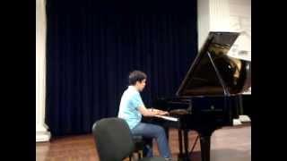 Milan Djukic plays P.I.Tchaikovsky Nocturne in C-sharp Minor op.19 No. 4