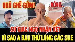 Tin CỰC NÓNG: Bản Tin TỐI 09/3 Thầy Minh Tuệ mới nhất #thichminhtue #minhtue