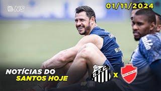 Santos x Vila Nova | Notícias do Peixe hoje | 01/11/2024