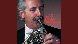 Knechtl: Horn Concerto in D Major, Lund 10 - I. Allegro