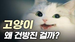 ??? : 니가 뭘 할 수 있는데