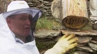 Wild France: With Ray Mears Part 4: Cevennes