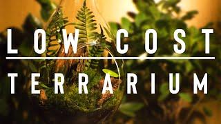 How to make TERRARIUM for FREE - Tutorial