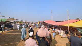 2024 Part 1 Raiwind Ijtema Ke Taza Manazar | Bayanat Clips