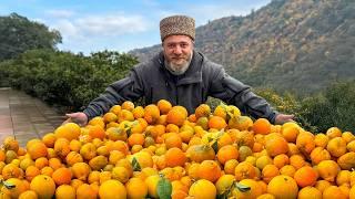 Citrus Madness: Baked Juicy Fish with Nut Explosion Flavor