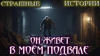 Страшные истории на ночь про Петербург - ПОТЕРЯШКА - Мистика Ужасы про квартиру Заброшенный подвал