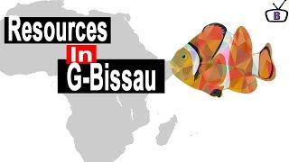 Major natural resources in Guinea Bissau