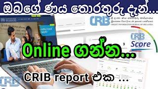 දැන් ඔයාගේ තොරතුරු CRIB එකෙන් Online ගෙන්න ගන්න... How to get credit information CRIB Report Online