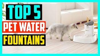 Top 5 Best Pet Water Fountains in 2024 Reviews