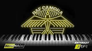 RAF Camora - SERENADE (Anthrazit RR) #04