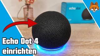 Amazon Echo Dot 4 einrichten - schnelle Anleitung 