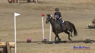 281XC Heather Bo on Gwen SR Beginner Novice Cross Country Woodside October 2024