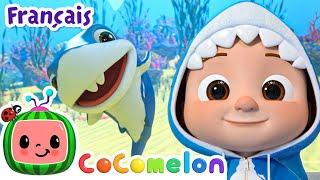 Bébé Requin (version Sous-marin) | | CoComelon en Français | Chansons pour bébés