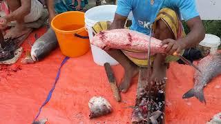 Amazing Cutting Skills ! Giant Katla Fish Cutting Skills #fishcuting