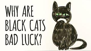 Why Are Black Cats Considered BAD LUCK?