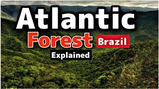 Atlantic Forest Brazil Explained in Urdu  | InsightfulLenstv