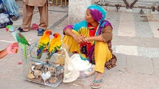 Biggest Birds Market Lalukhet Karachi Reasonable Price All Bird