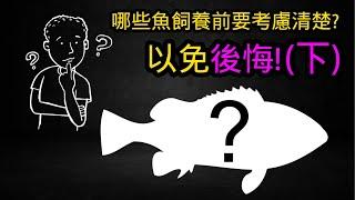 天呀! 還有哪些魚飼養後有可能會後悔?! 要慎重考慮!!! (下) | 水族系列