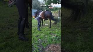 Pain of a rider 2.0     #equestrian #horse #rider #pony #pferde #equestrianlife #shorts