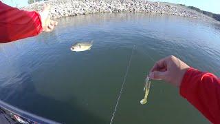 Fishing the Nickajack Dam